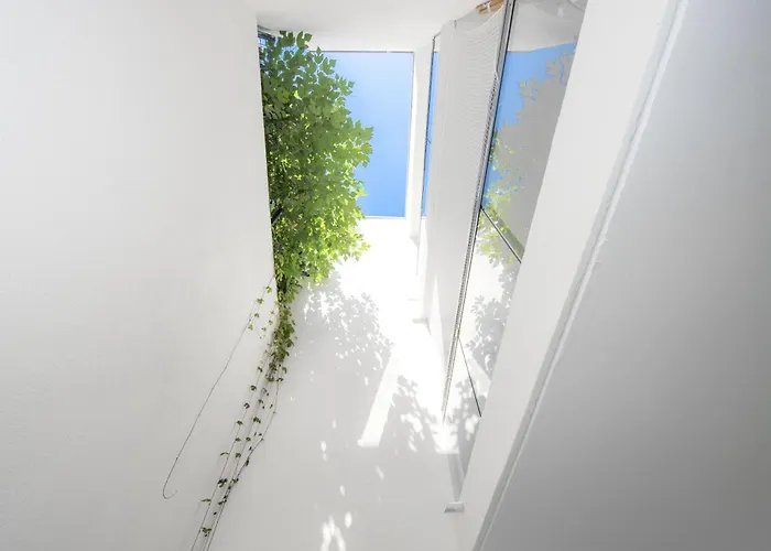 Neuf - Patio Interieur - Parking - Ef